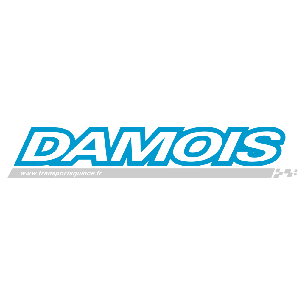 Logo Damoistransports Carre