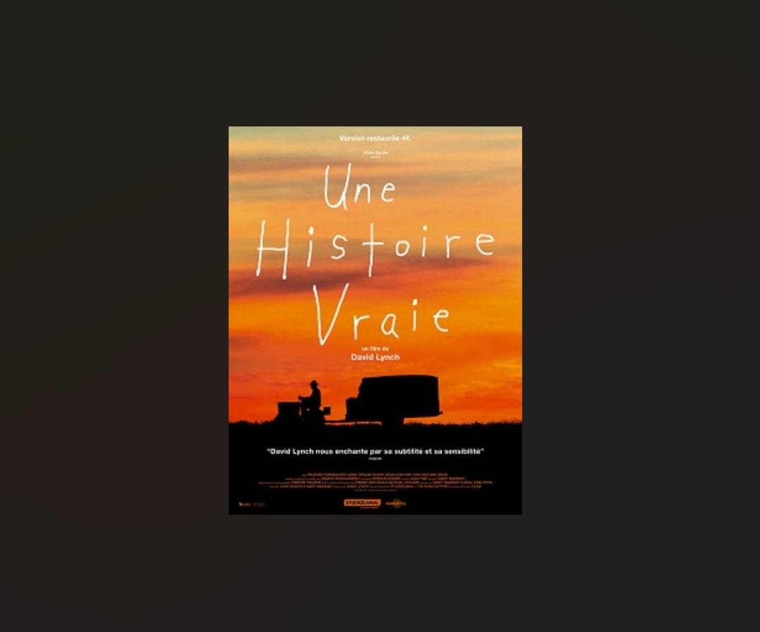 Affiche Film 'une Histoire Vraie' Site