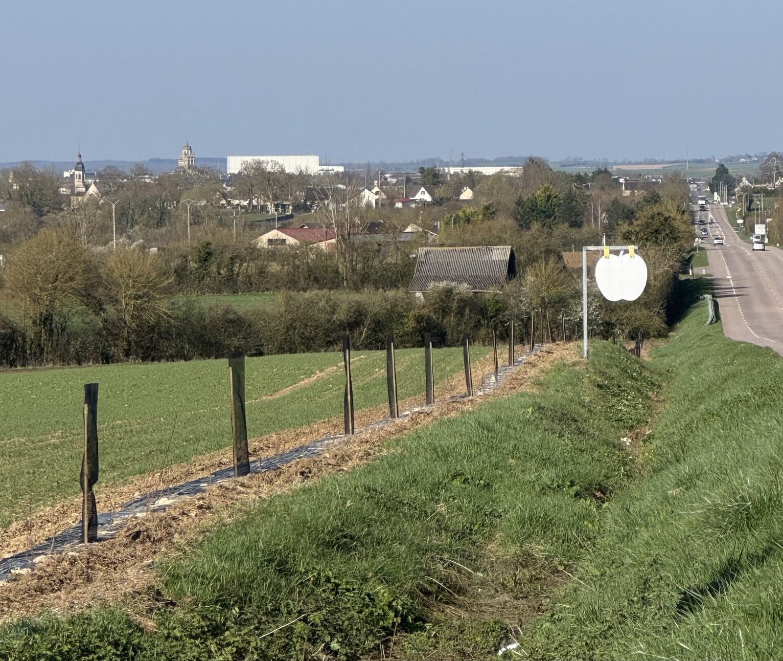 Photo de la haie bocagère plantée pour la Maison Perigault