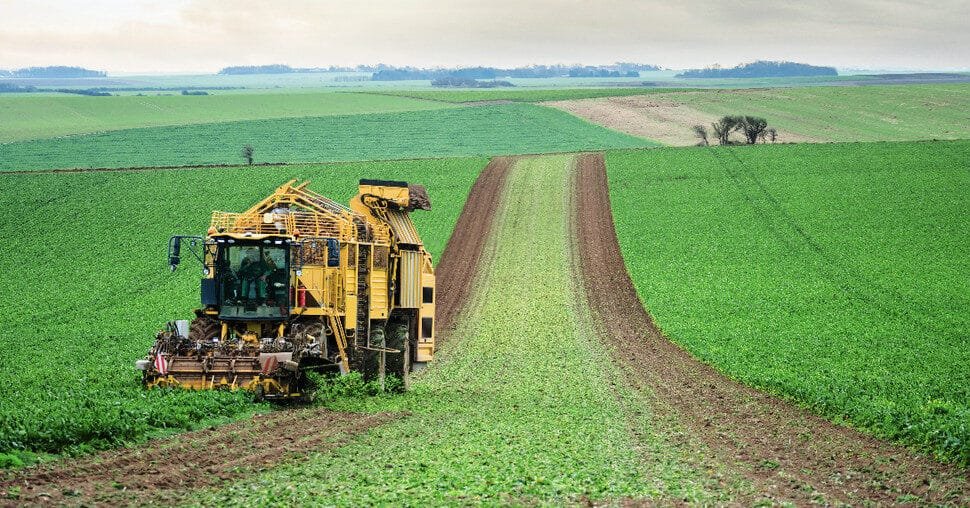 Image champ de Betterave avec engins agricoles