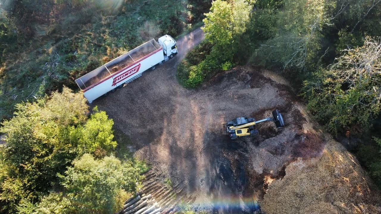 Photo d'un fond mouvant en chargement en forêt